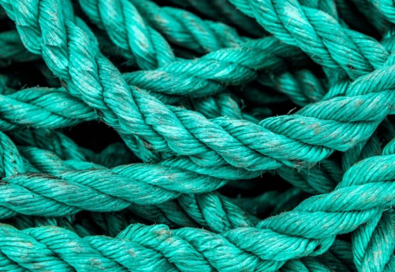 Trumps neue Fischereiregel bedroht Ozean: Schutzgebiete im Pazifik in Gefahr Trumps neue Fischereiregel bedroht Ozean: Schutzgebiete im Pazifik in Gefahr